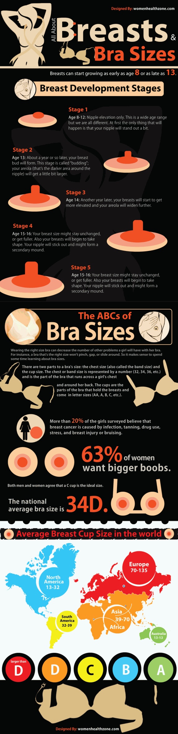 Breast Size Info-graphic